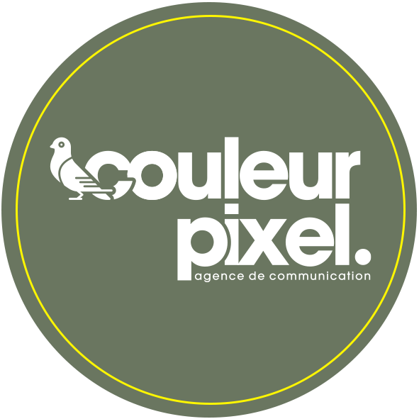 logo couleur pixel agence de communication creation site internet marmande membre cabm